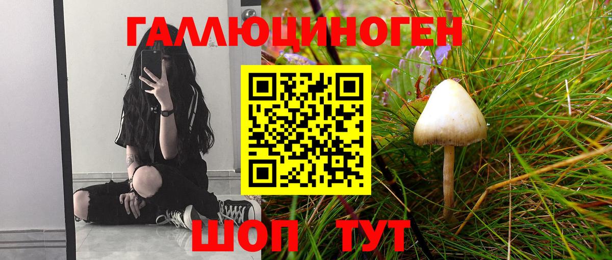 Псилоцибиновые грибы Psilocybe Калуга