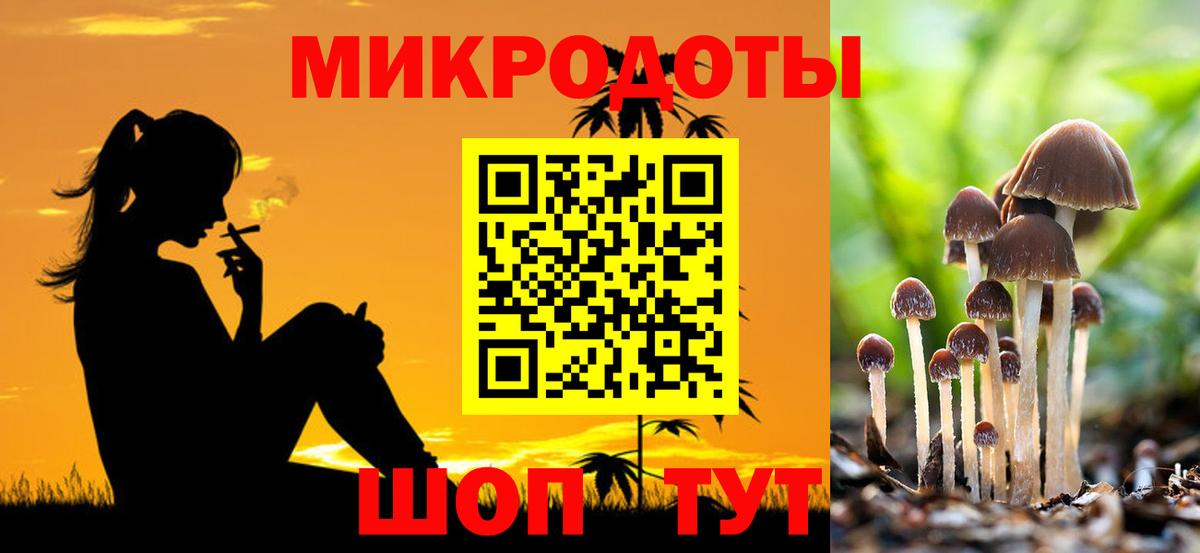 Псилоцибиновые грибы Psilocybe  Вход с VPN  купить наркотик  Калуга 